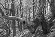 Against the Elements 6